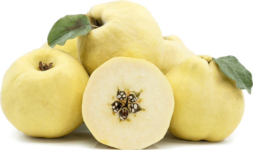 Pineapple Quince Information and Facts