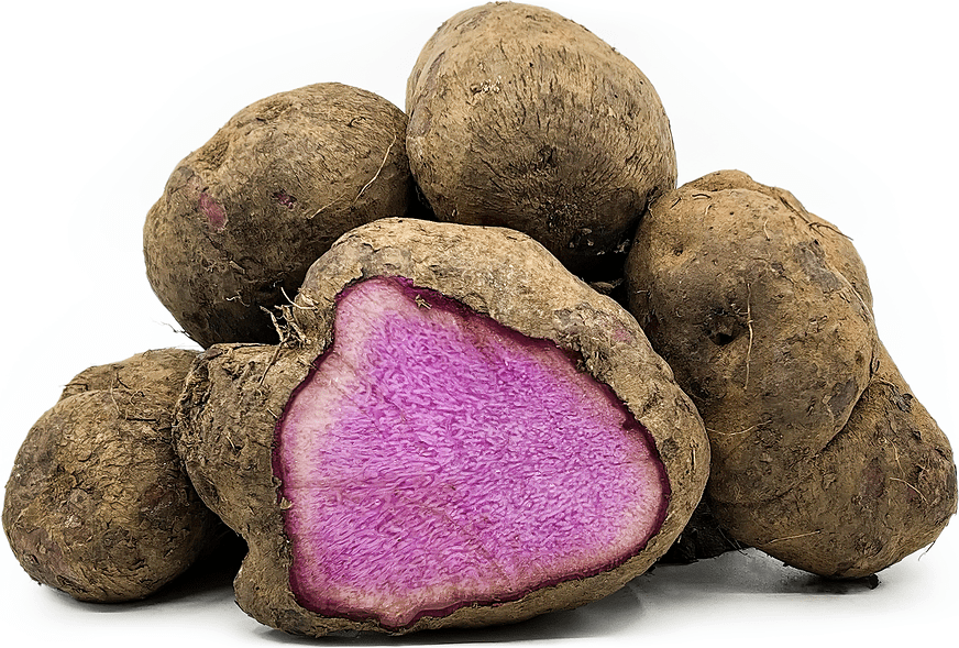 Purple Sri Lanka Rajala Yams Information and Facts