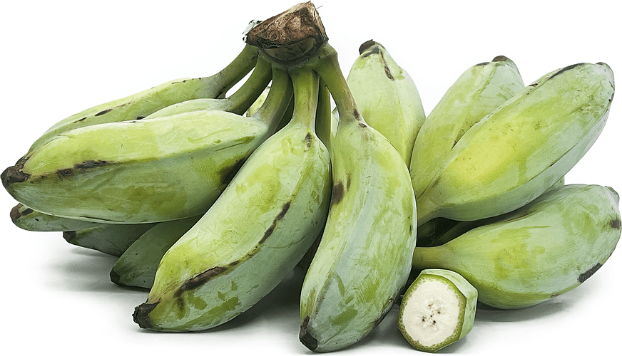 Sri Lanka Ash Plantains Information and Facts