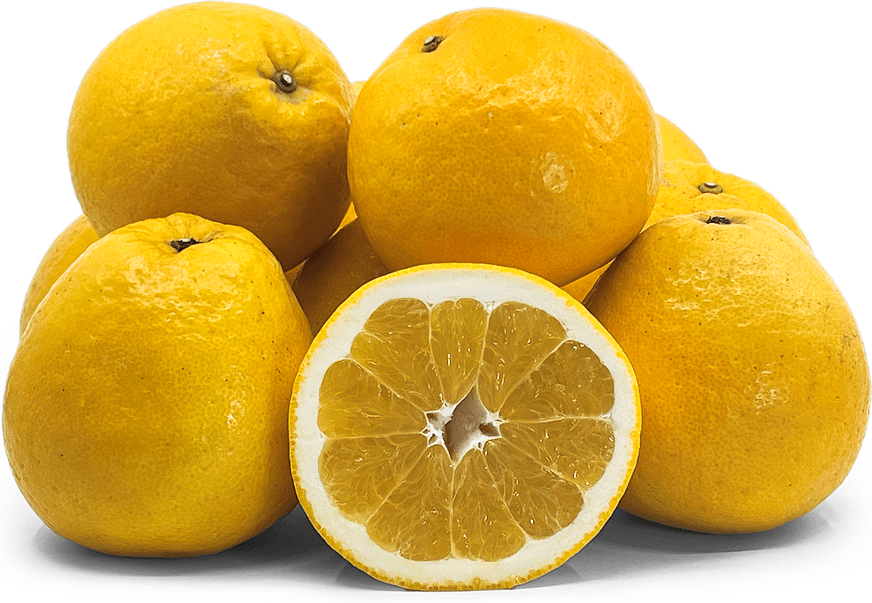 Uwa Gold Japanese Grapefruit Information and Facts