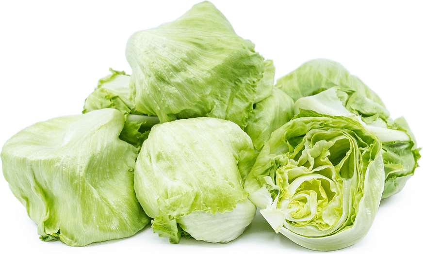 Baby Iceberg lettuce Information, Recipes and Facts