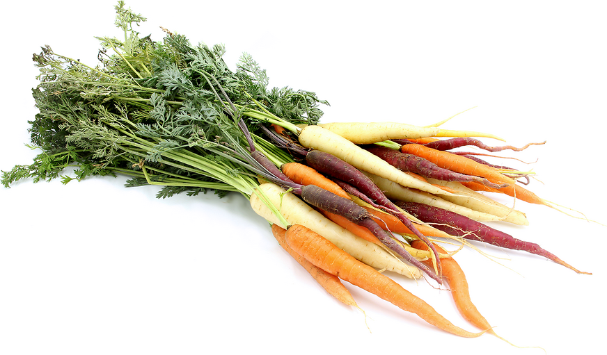Baby Mix Carrots Information, Recipes and Facts