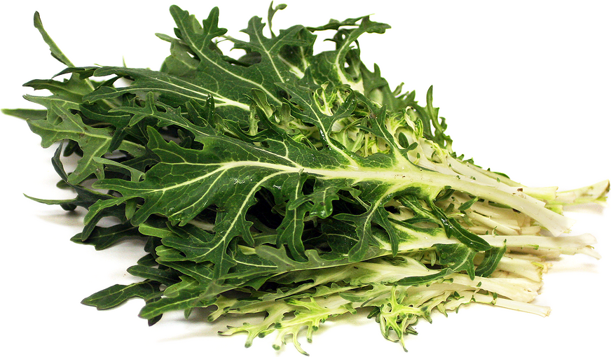 White Peacock Kale Information and Facts