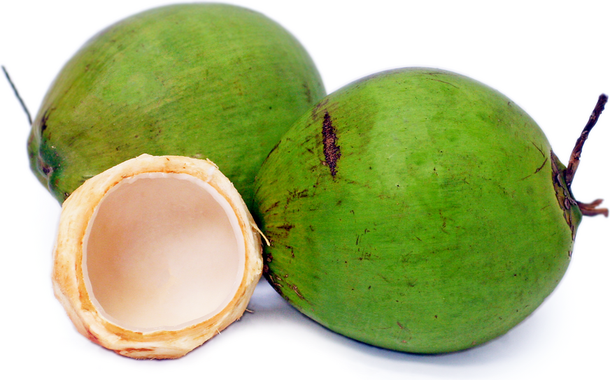 Husk Coconuts Information and Facts
