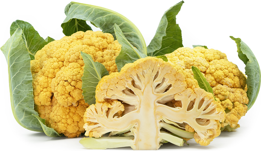 Orange Cauliflower Information, Recipes and Facts