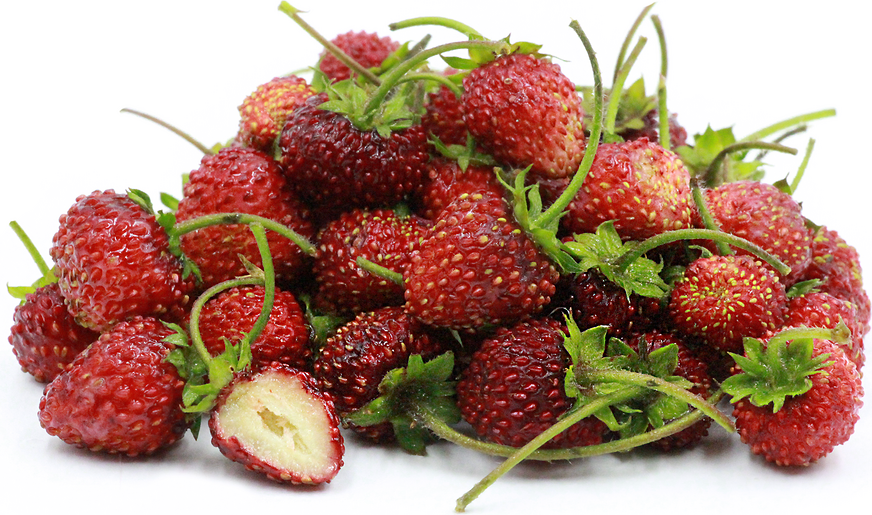 Wild Strawberries Information, Recipes and Facts