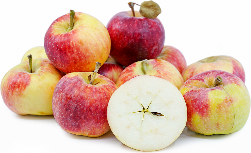 New Jersey Apples Information and Facts