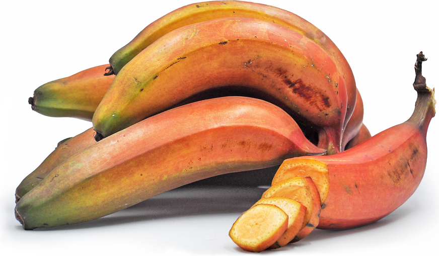 Red Bananas Information, Recipes and Facts