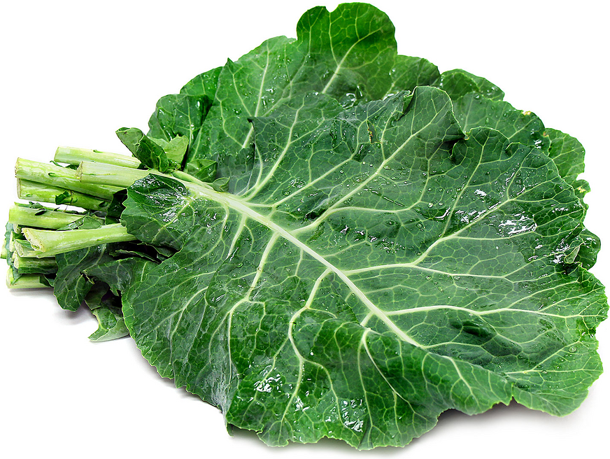 Organic Greens Collard Information and Facts