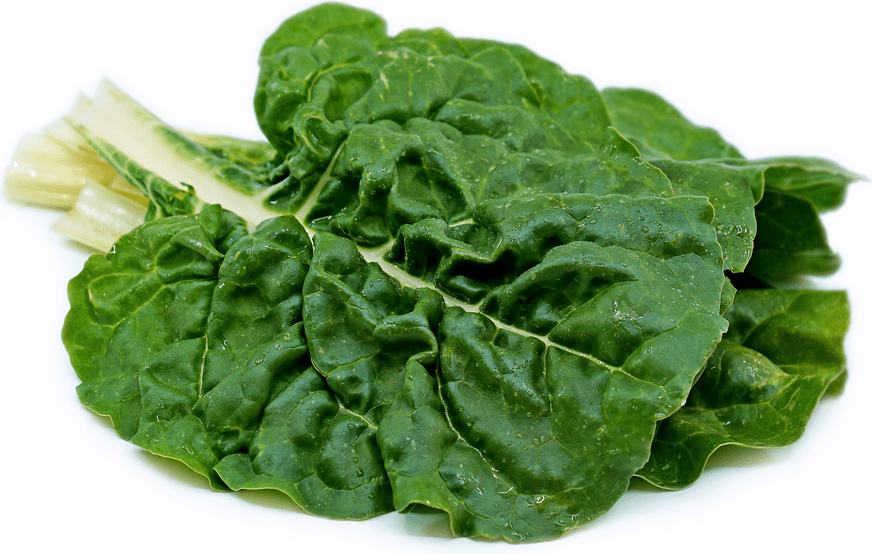 Green Swiss Chard Information and Facts