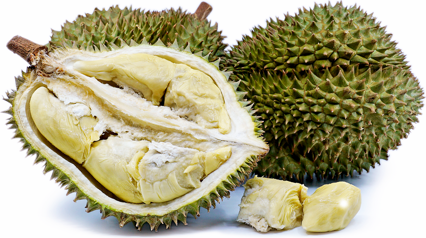 Durian Information and Facts