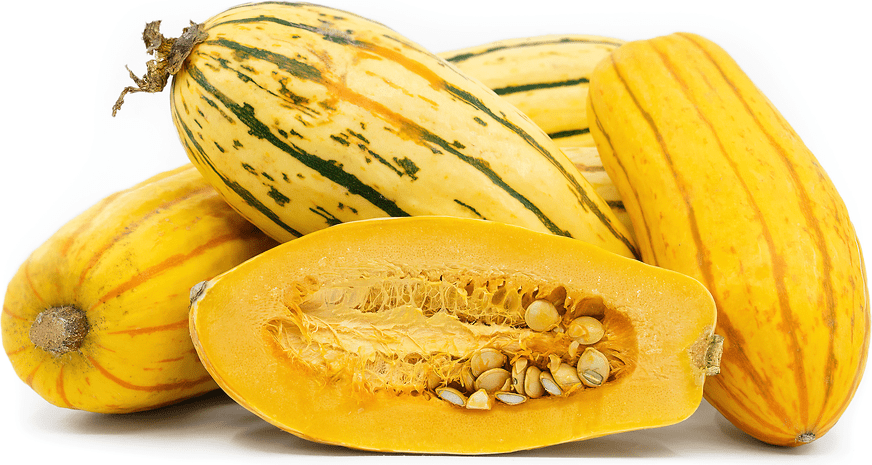 Delicata Squash Information, Recipes and Facts