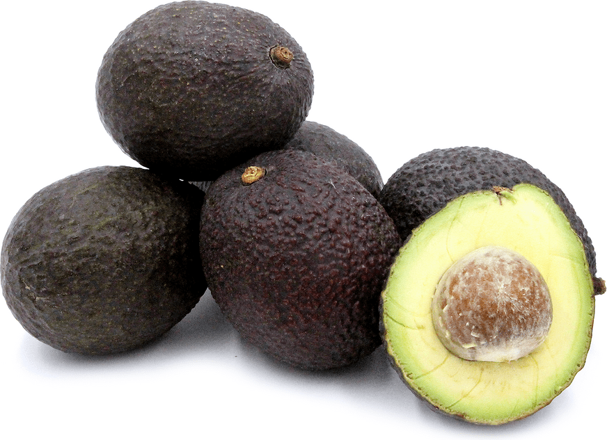 Hass Avocados Information and Facts