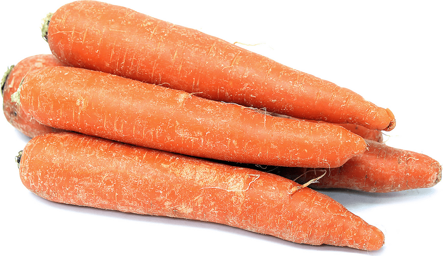 Carrots Organic Jumbo 2 Information and Facts