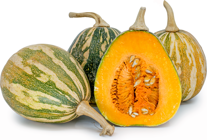 Fairy Squash Information and Facts