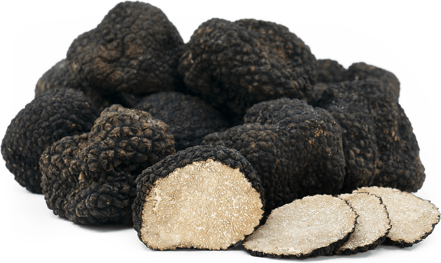 Burgundy Truffles Information and Facts