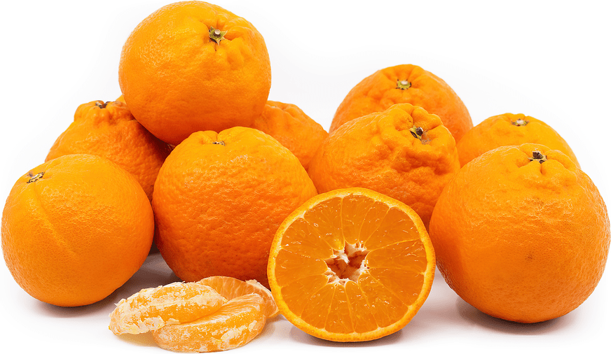 Perfection Tangerine Information and Facts
