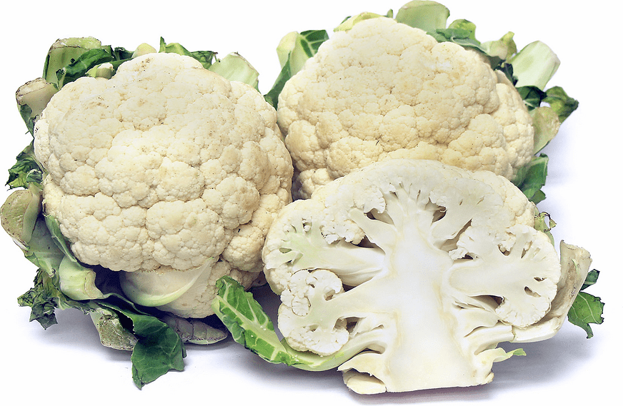 Cauliflower Information and Facts
