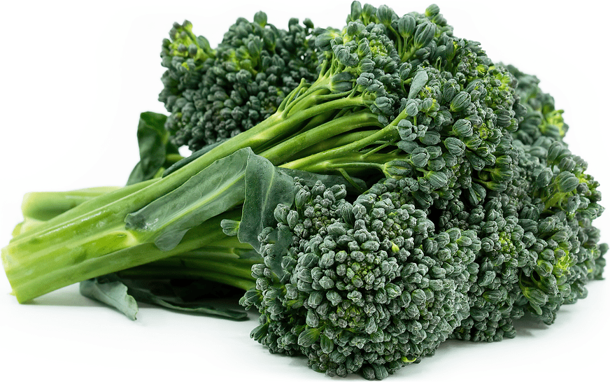 Broccolini Information and Facts
