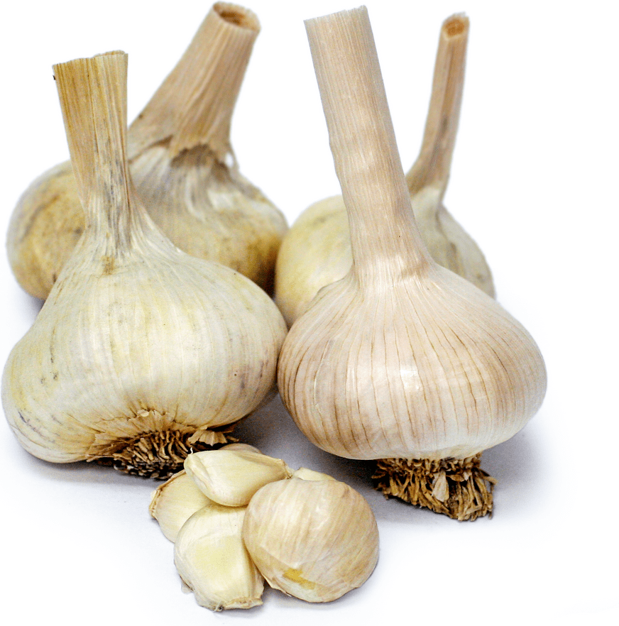 Keeper Garlic Information and Facts