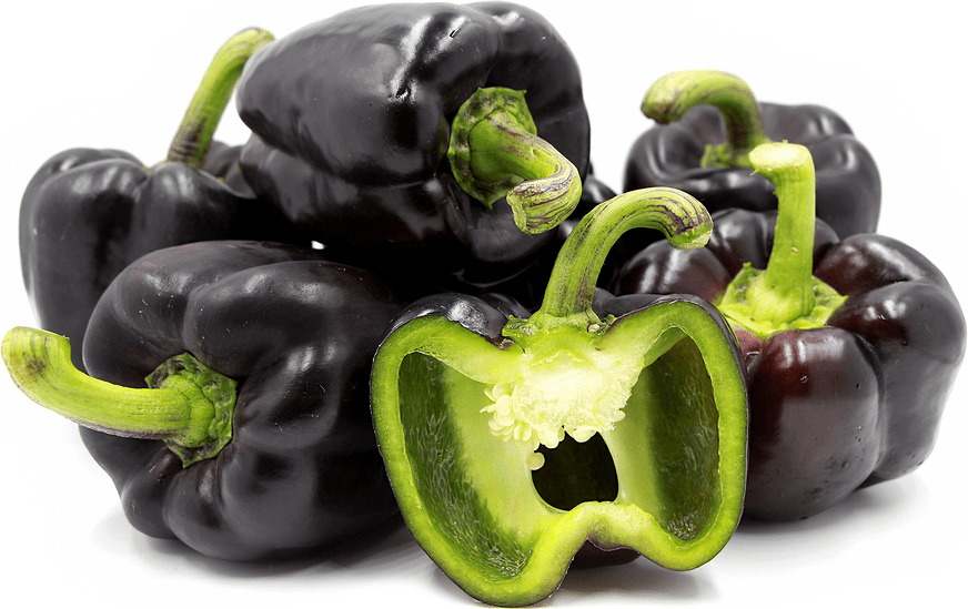 Purple Holland Bell Peppers Information and Facts