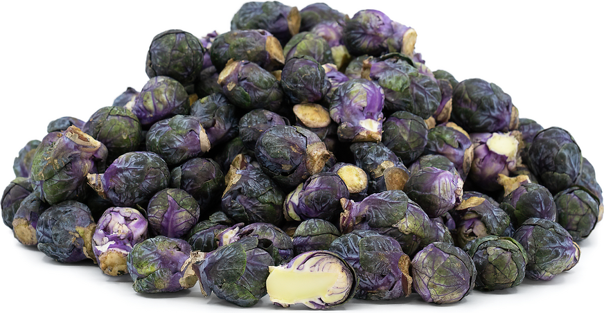 Baby Purple Brussels Sprouts Information, Recipes and Facts