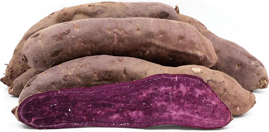 Stokes Purple® Sweet Potato Information and Facts