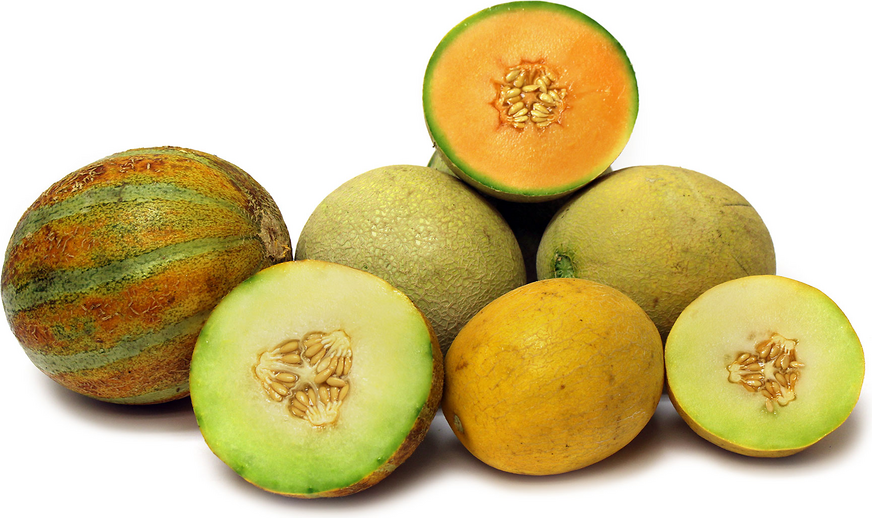 Mixed Melons Information and Facts