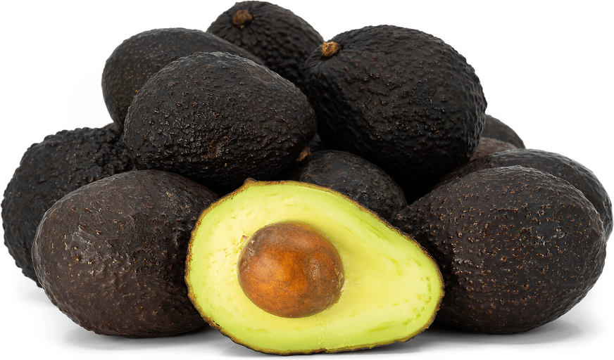 Hass Avocado Information and Facts