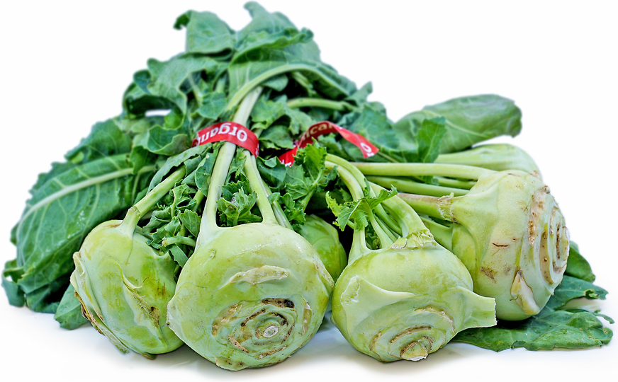 Green Kohlrabi Information and Facts