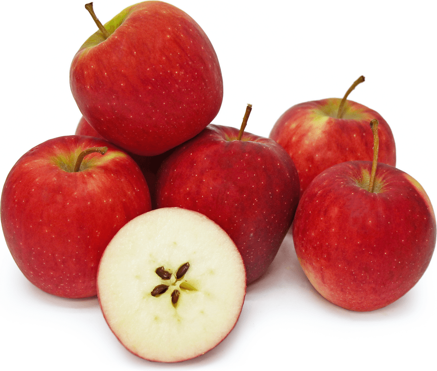 Swiss Gourmet Apples Information, Recipes and Facts