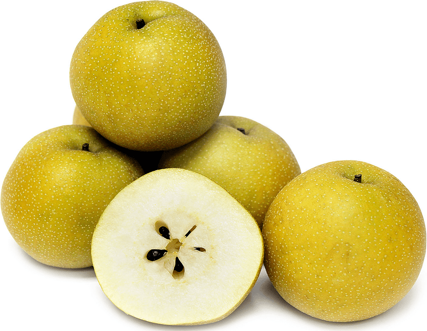Shinko Asian Pears Information and Facts