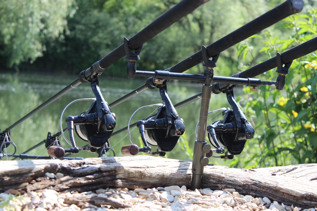 5 Best Carp Fishing Setups Complete Carp Set Up