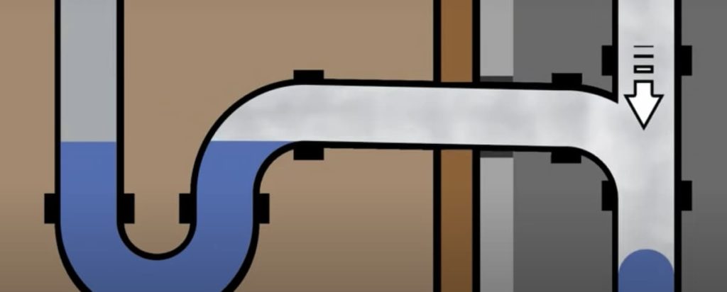 What is a P Trap Toilet? [2022] - Specifier Australia