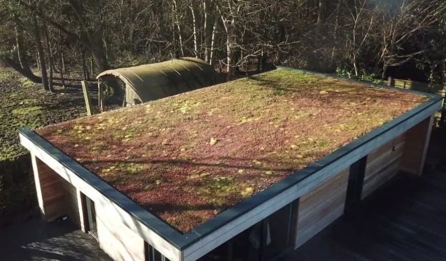 Can green roofs reduce rainwater runoff? Specifier Review