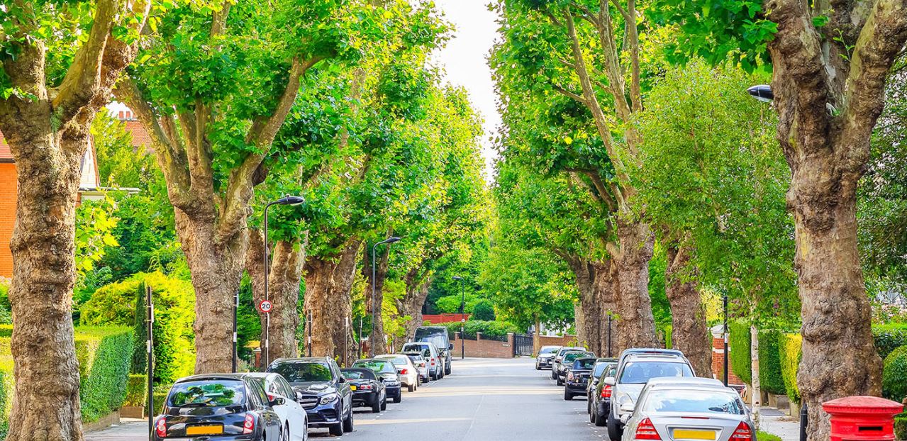 The Health & Well Being Benefits Of Urban Planting Specifier Review