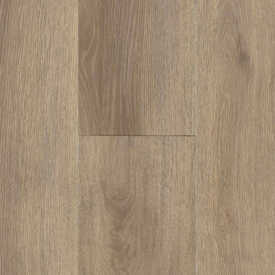 Moda Collection SPEC Living