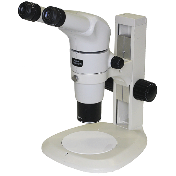 Nikon SMZ800N Binocular Stereo Microscope on Table Stand Lab Equipment Spectra Services