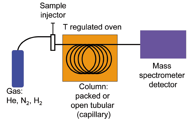 Gas ChromatographyMass Spectrometry GCMS compared to ECMS