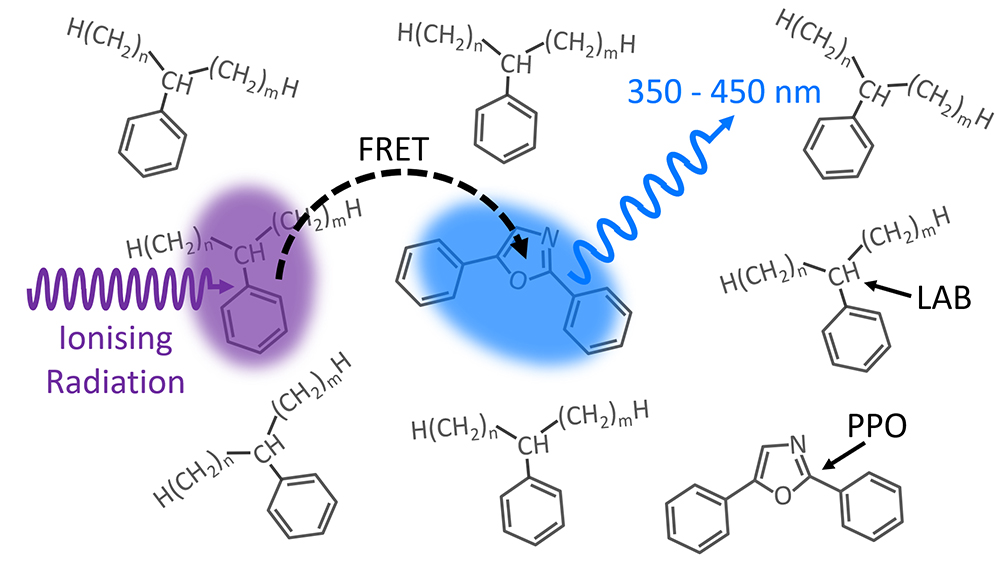 Energy transfer in a liquid scintillator investigated using time