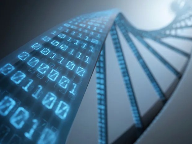 DNA Data Storage Just Got a Bit More Practical
