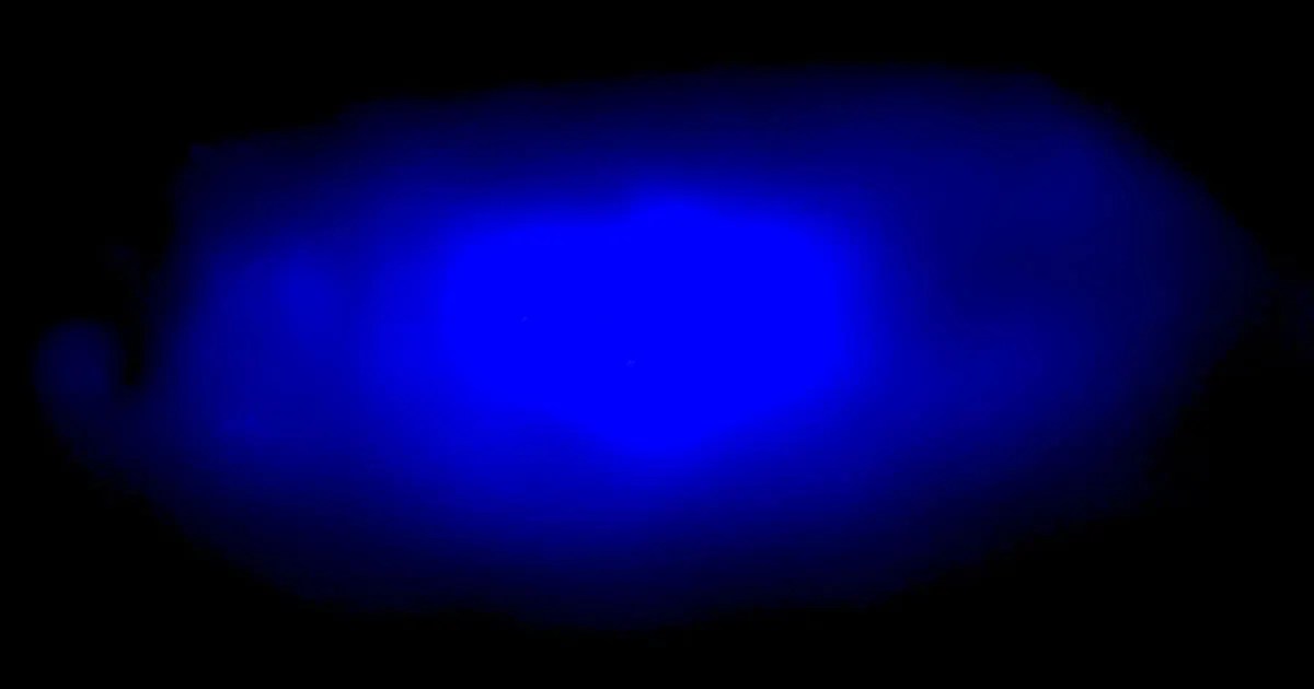 First Blue LED Emission From a Perovskite