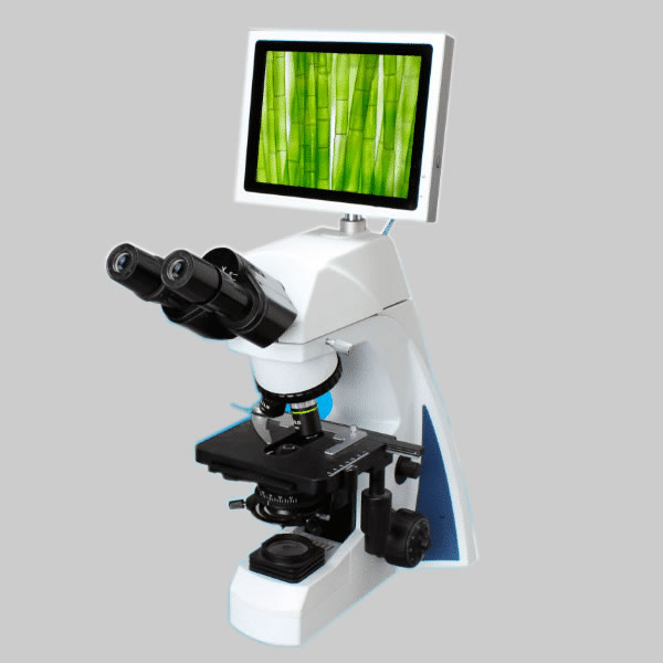 Sales Spectrum Biomedical Services Limited