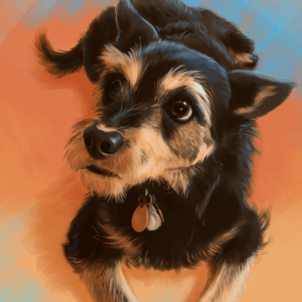 Specular Potion Design Shop And Elise er Art