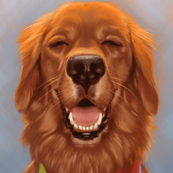 Specular Potion Design Shop And Elise er Art