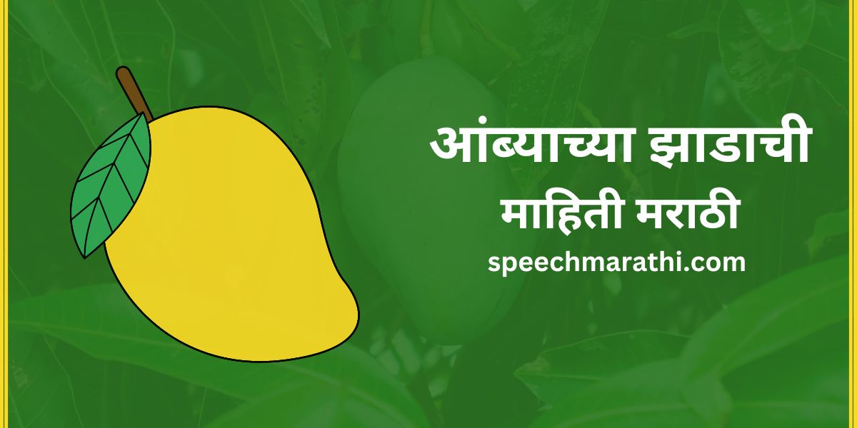 आंब्याच्या झाडाची माहिती मराठी / Mango Tree Information In Marathi