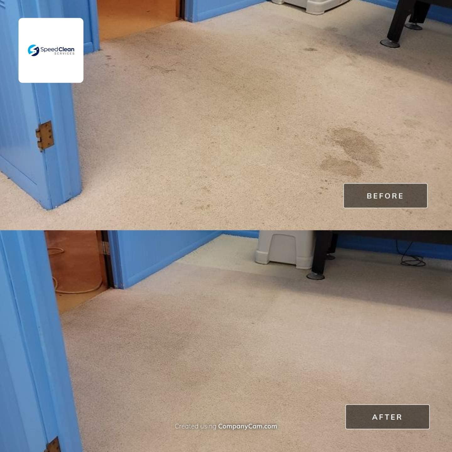 Carpet Cleaning Clinton Township MI Speed Clean