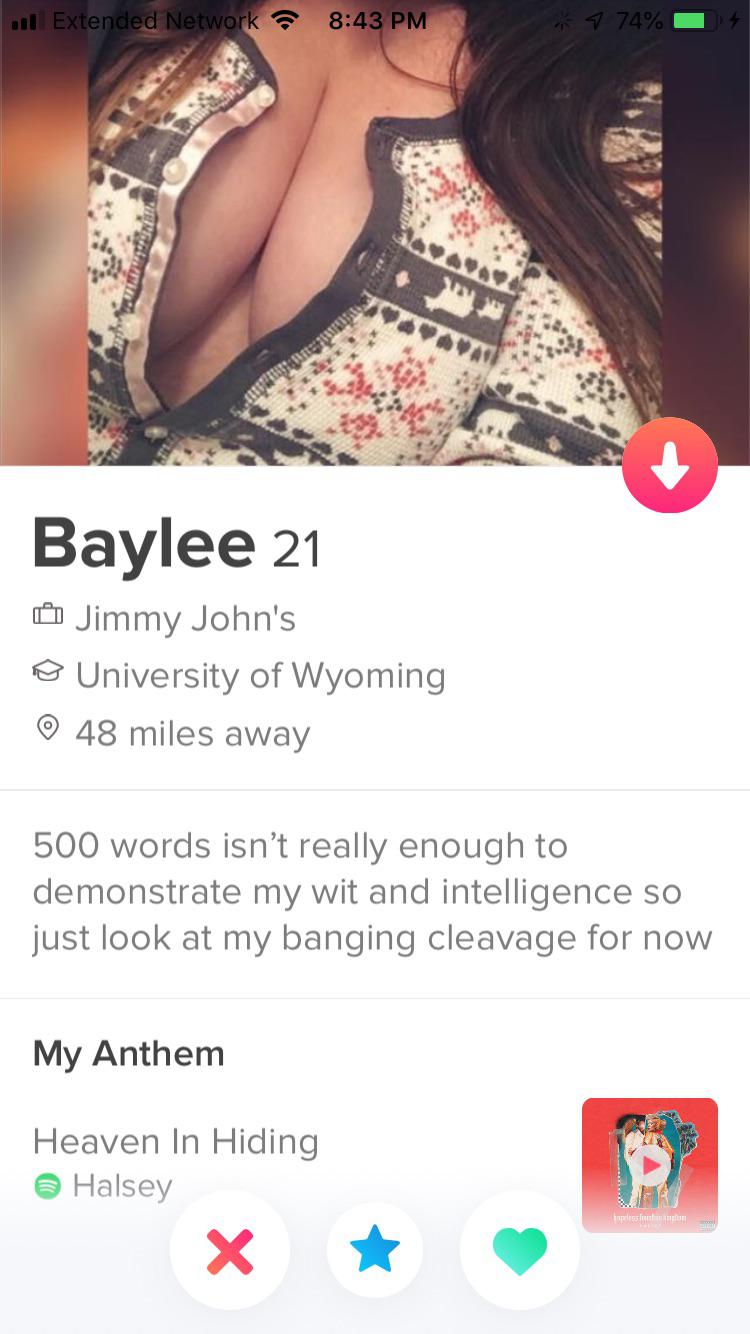 Best Tinder Bios: Simple, Cute, Funny, Flirty or Serious