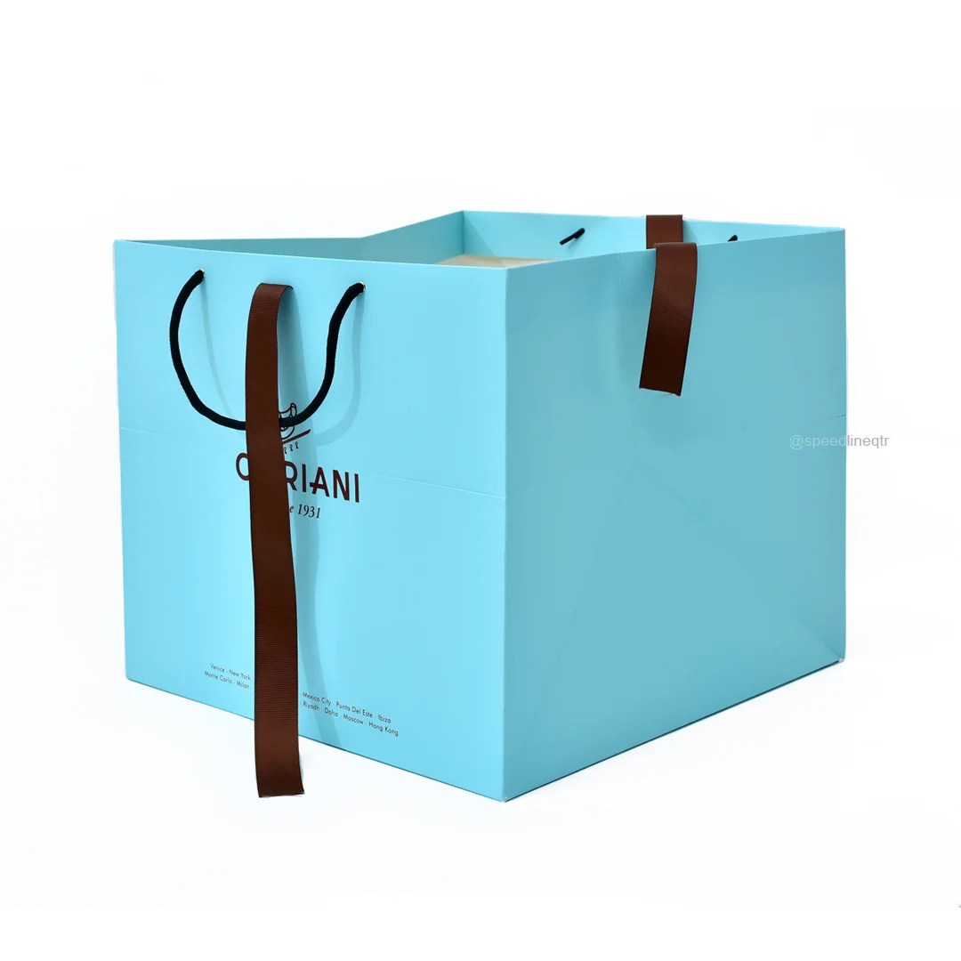 Paper Bags Best Price in Qatar 1 Speedline Printing Press