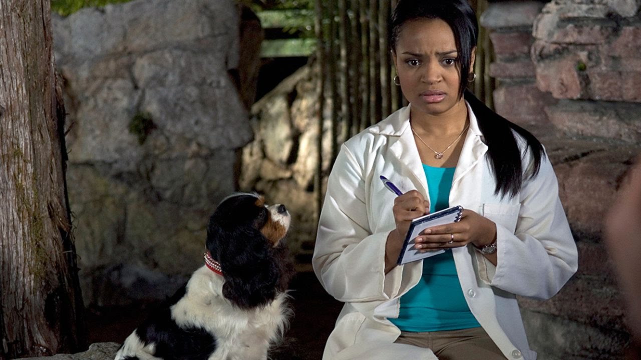 WIRTB Review Dr. Dolittle 2